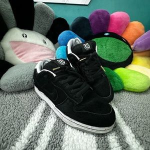 Nike dunk x medicom Be@rbirck